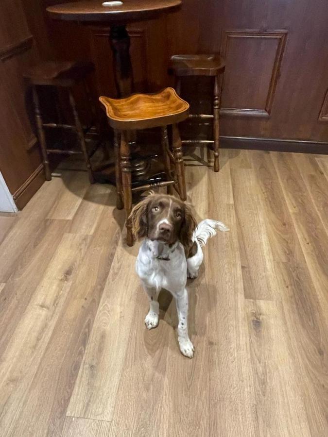 The Black Horse Inn Settle Esterno foto